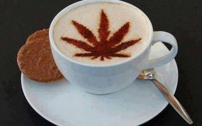 Vision Hanf/Cannabis