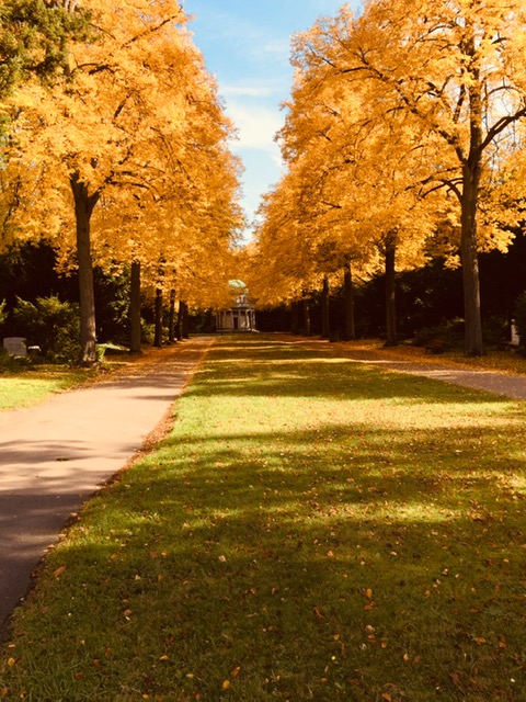 Sicherheit und Sauberkeit in Frankfurt am Main