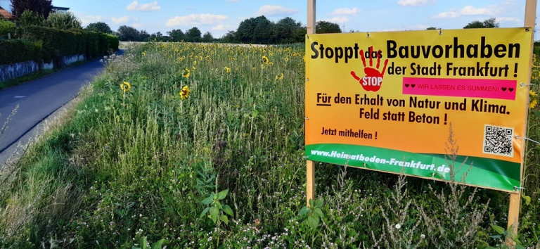 Wenn das die Frankfurter wüssten… dann hätten wir morgen eine Revolte/Aufruhr!