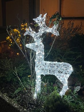 Tiere besser schützen…