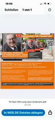 Mein neuer Flyer – meine Wahloffensive kann nun beginnen…