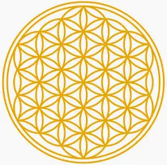 Bewusstsein – ein Rätsel für die Wissenschaft…